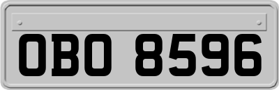 OBO8596