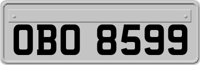 OBO8599