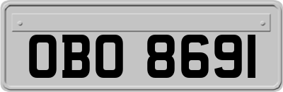 OBO8691