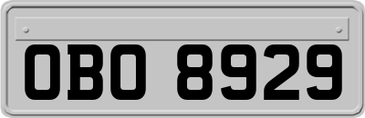 OBO8929