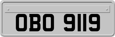 OBO9119