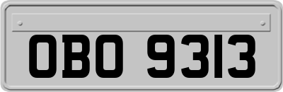 OBO9313