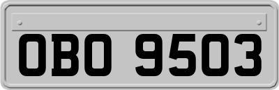 OBO9503