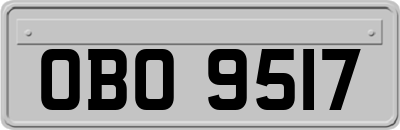 OBO9517