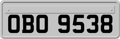 OBO9538