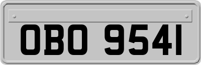 OBO9541