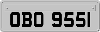 OBO9551