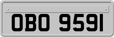 OBO9591