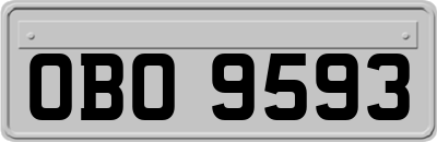 OBO9593