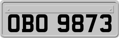 OBO9873