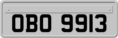 OBO9913