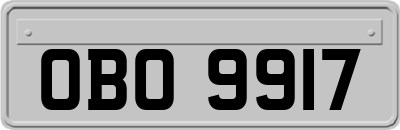 OBO9917