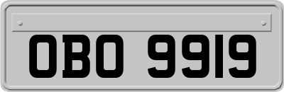 OBO9919