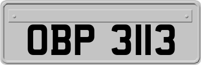 OBP3113