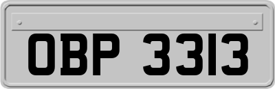 OBP3313