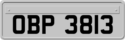 OBP3813