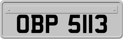 OBP5113