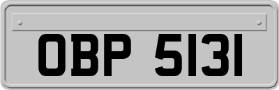 OBP5131