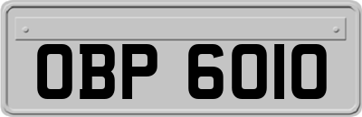 OBP6010