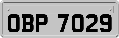 OBP7029