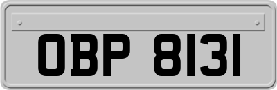 OBP8131