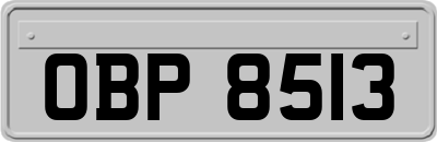 OBP8513