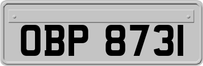OBP8731