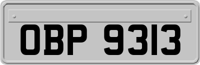 OBP9313