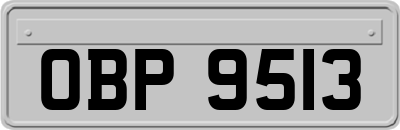OBP9513