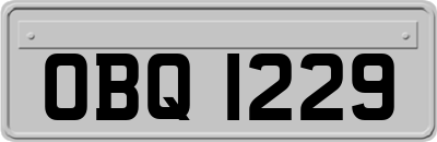 OBQ1229