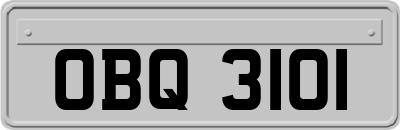OBQ3101