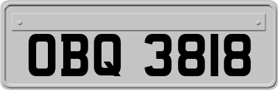 OBQ3818