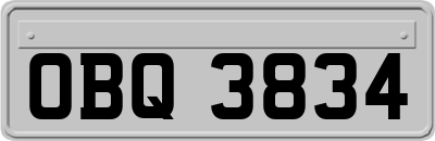 OBQ3834