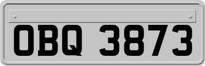 OBQ3873