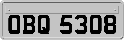 OBQ5308