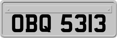 OBQ5313