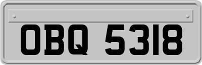 OBQ5318