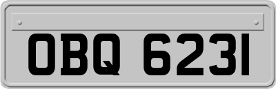 OBQ6231