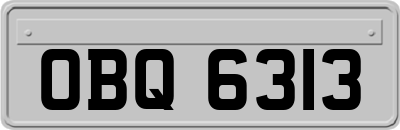 OBQ6313
