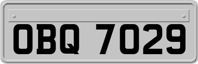 OBQ7029
