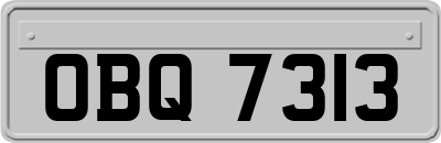 OBQ7313