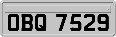 OBQ7529