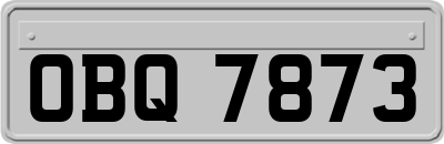 OBQ7873