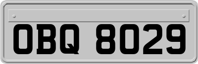 OBQ8029