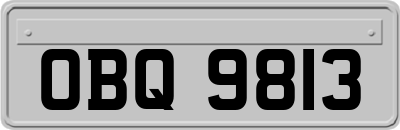 OBQ9813