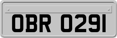 OBR0291