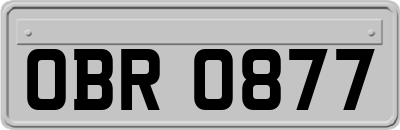 OBR0877