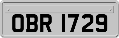 OBR1729