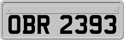 OBR2393