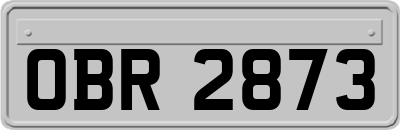 OBR2873